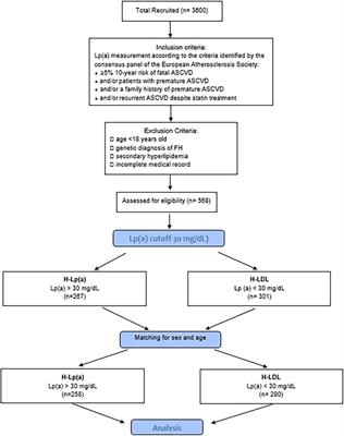 Epidemiology of atherosclerotic cardiovascular disease in polygenic hypercholesterolemia with or without high lipoprotein(a) levels